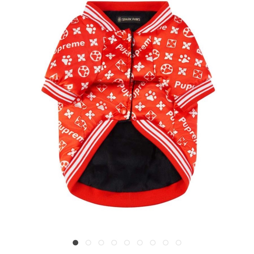 Spark paws dog jacket - too big for my dog